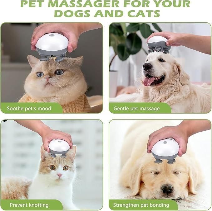 Electric massager for humans and animal